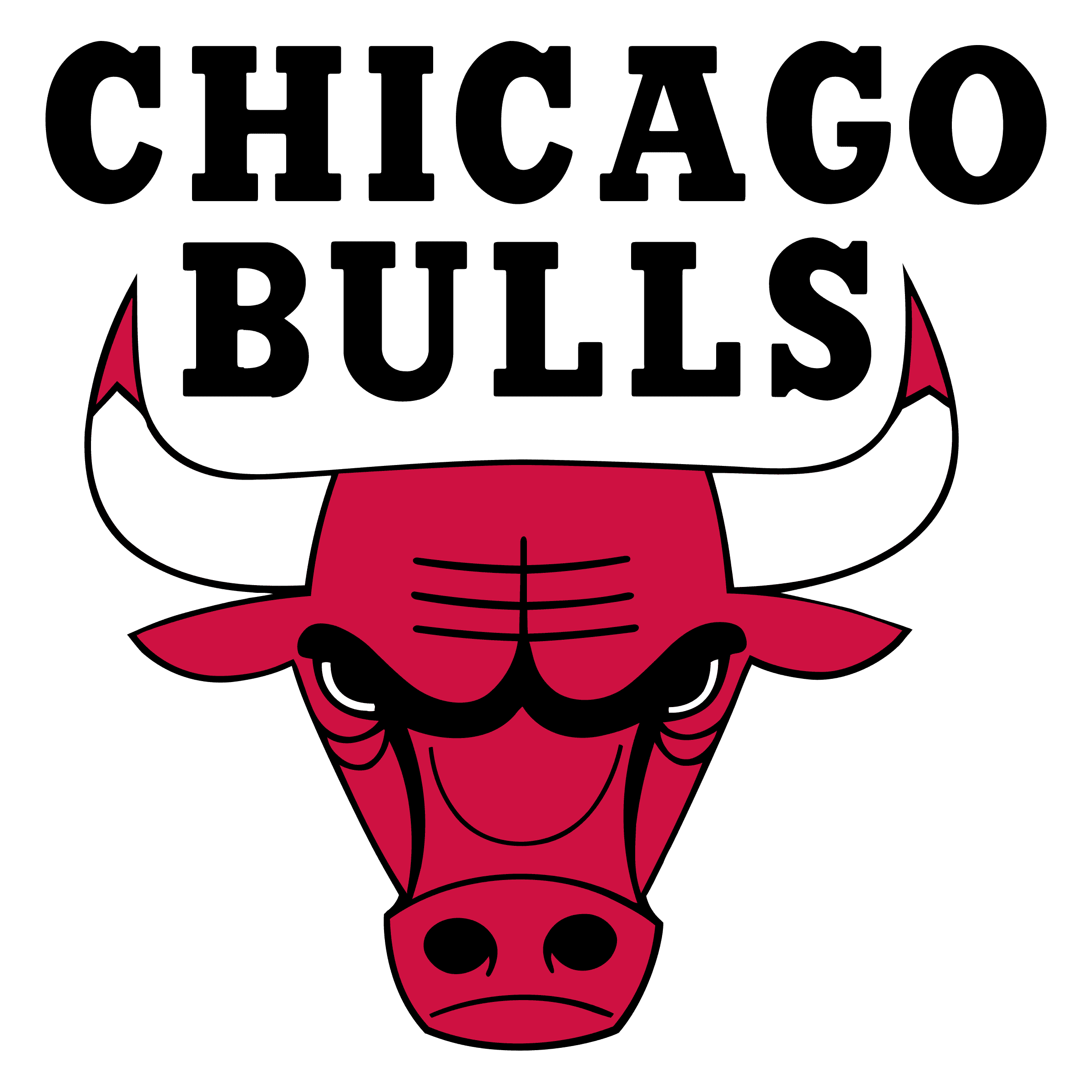 Chicago Bulls